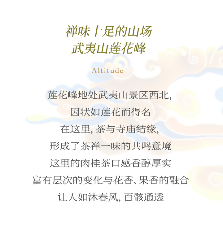 巖生肉桂_06.jpg